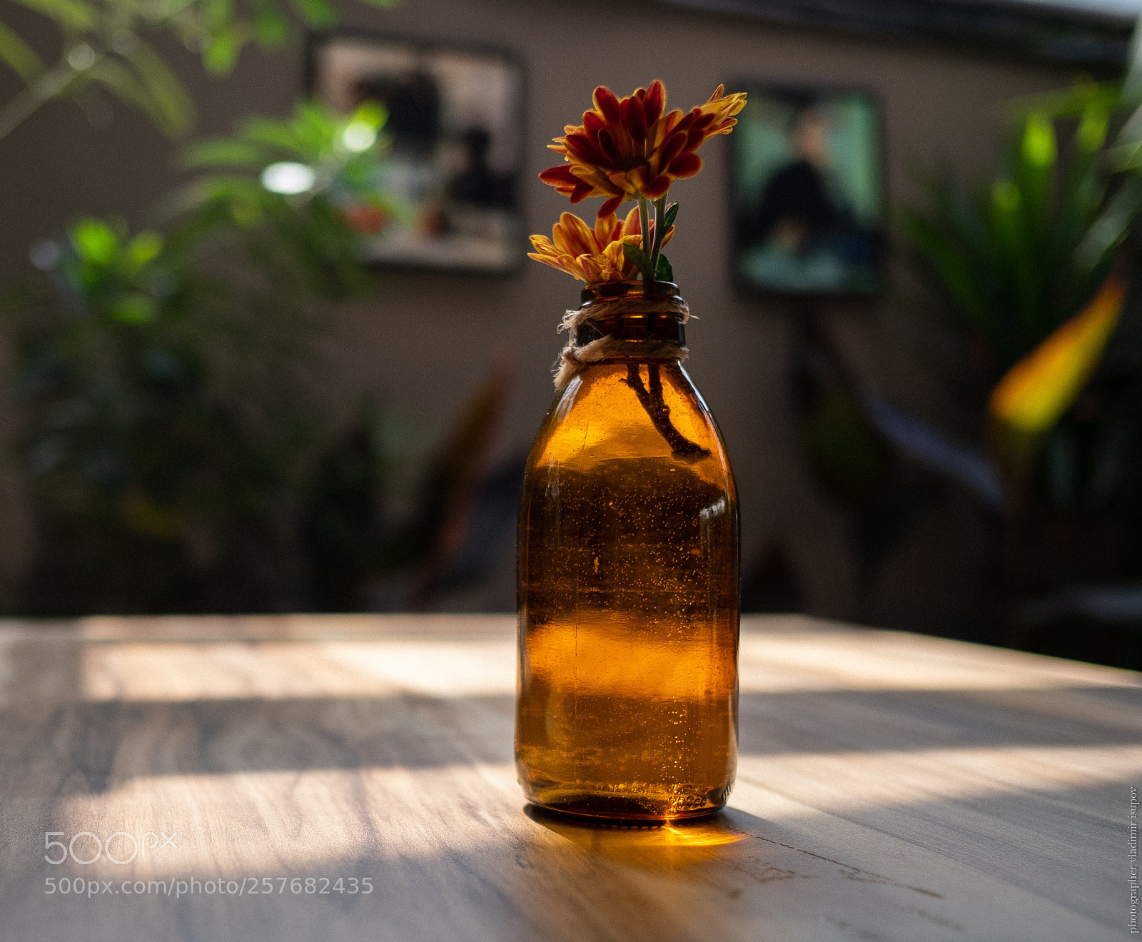 Fujifilm X-T2 sample photo. Алания photography
