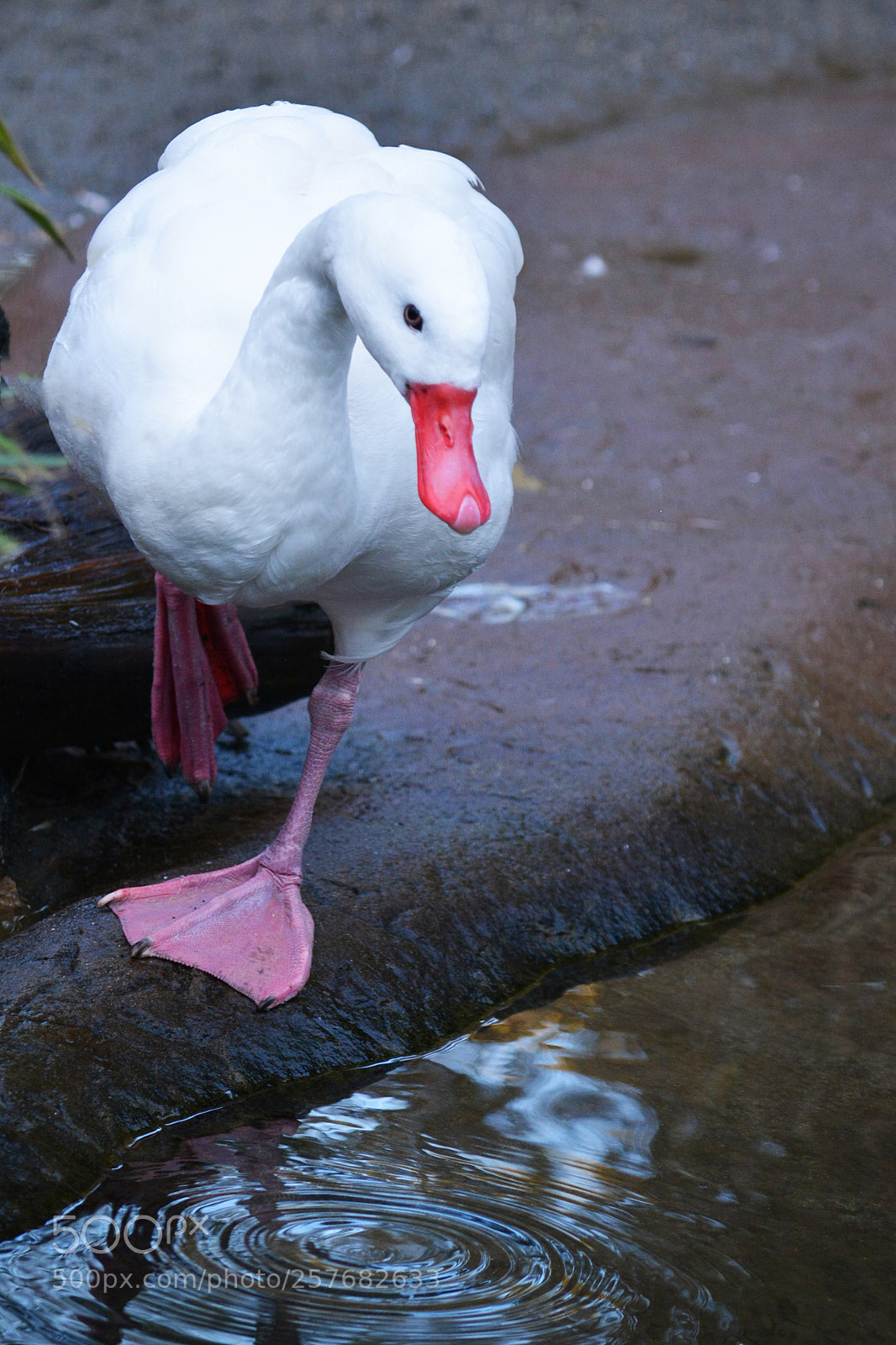 Nikon D5200 sample photo. Quest photography