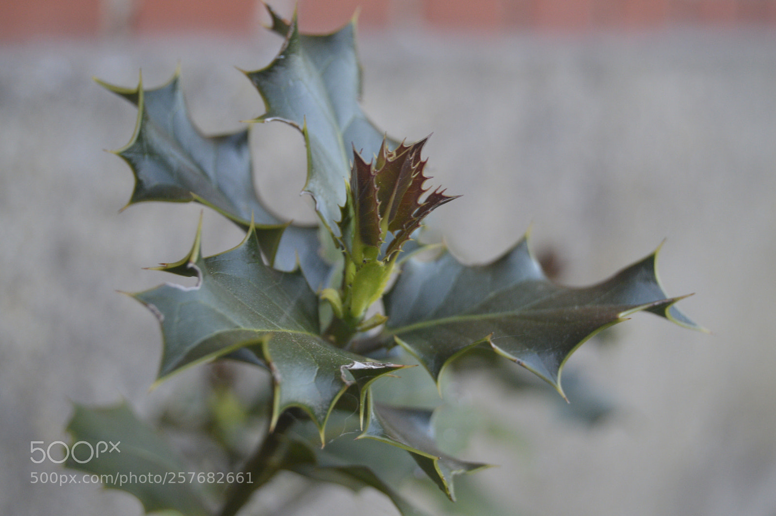 Nikon D3200 sample photo. Skøn natur photography