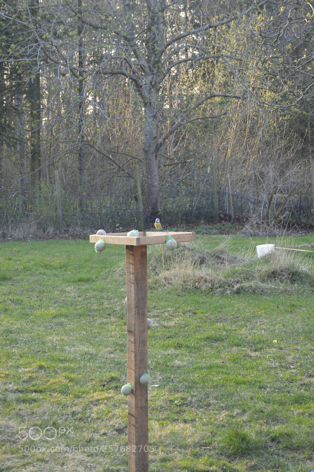 Nikon D3200 sample photo. Skøn natur photography