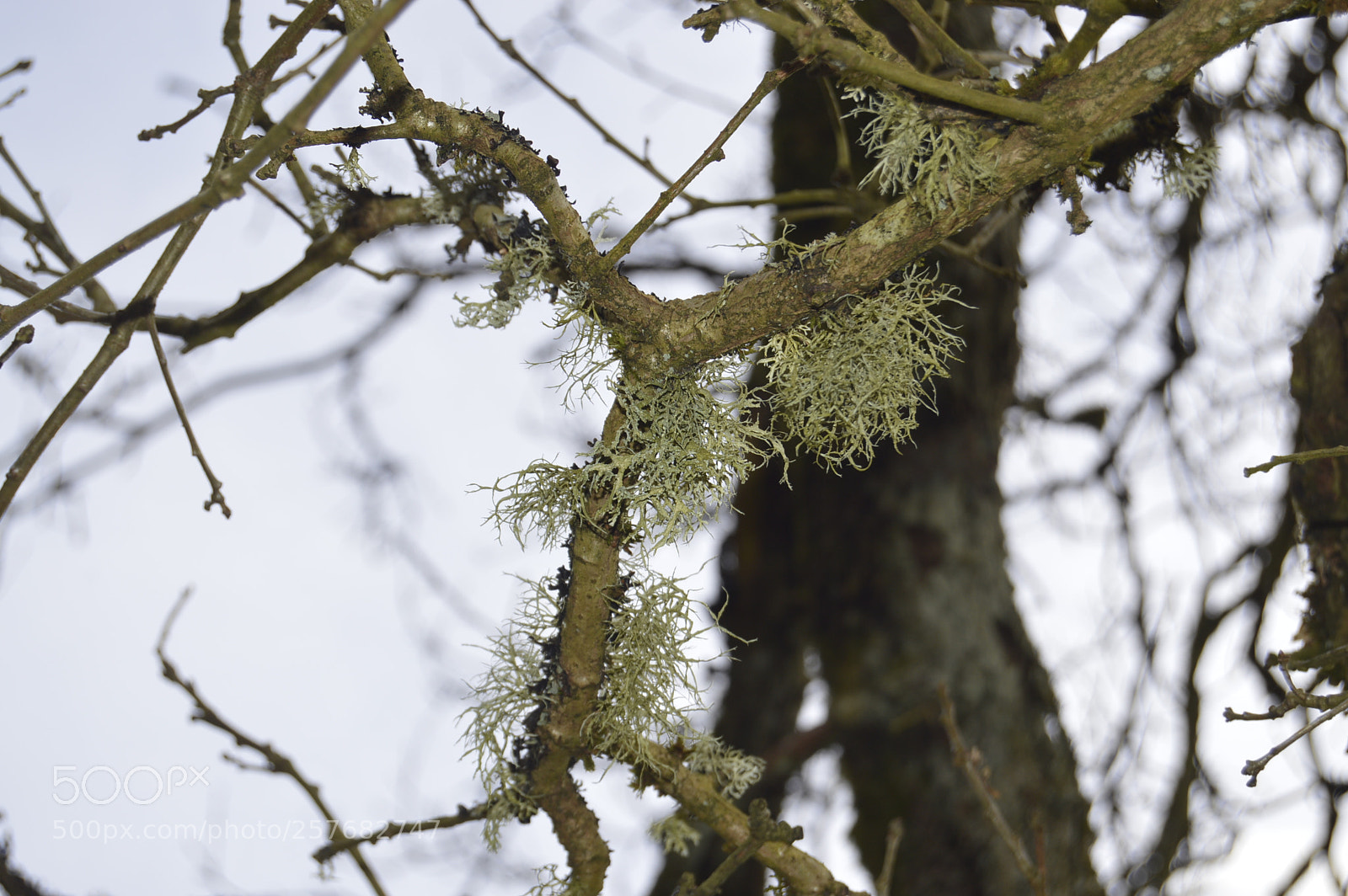 Nikon D3200 sample photo. Skøn natur photography