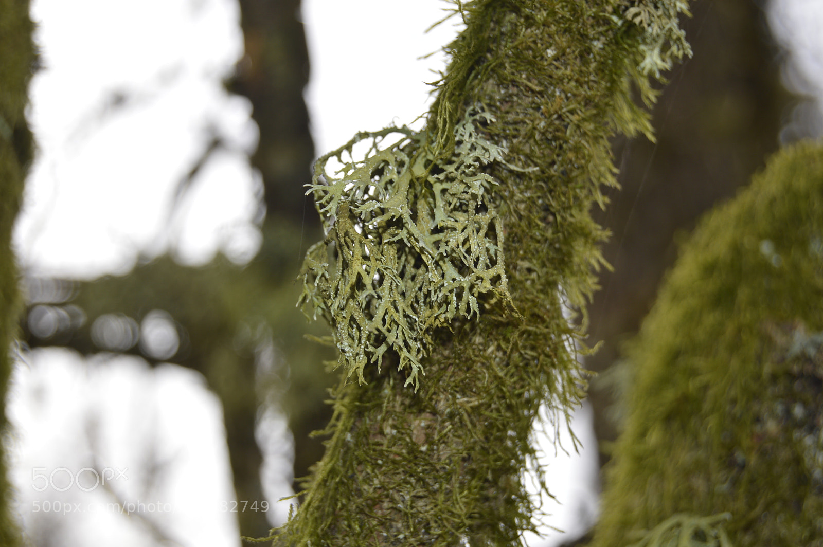 Nikon D3200 sample photo. Skøn natur photography