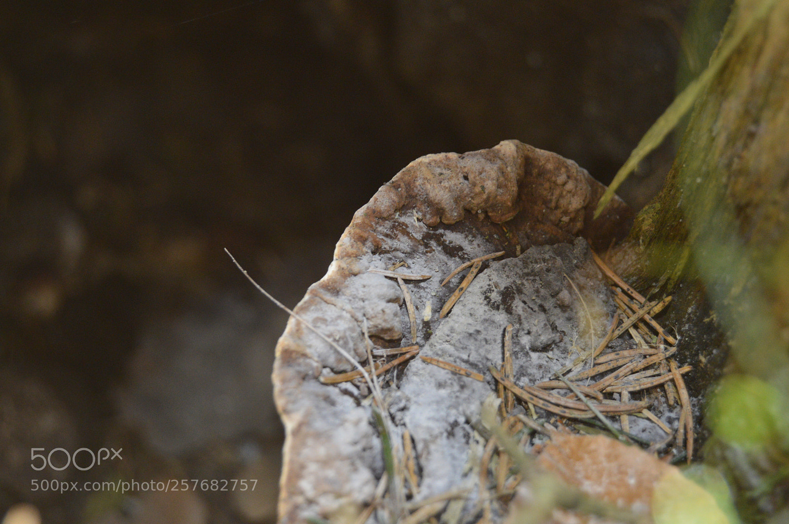 Nikon D3200 sample photo. Skøn natur photography