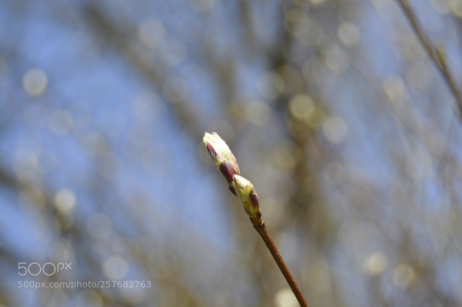 Nikon D3200 sample photo. Skøn natur photography