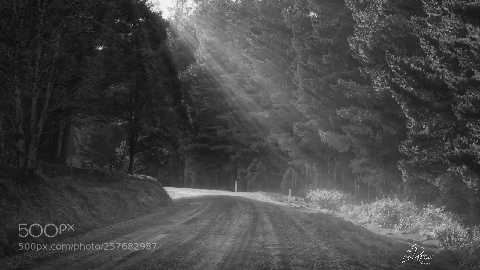 Fujifilm X-T2 sample photo. Blackwarry sunraybw photography