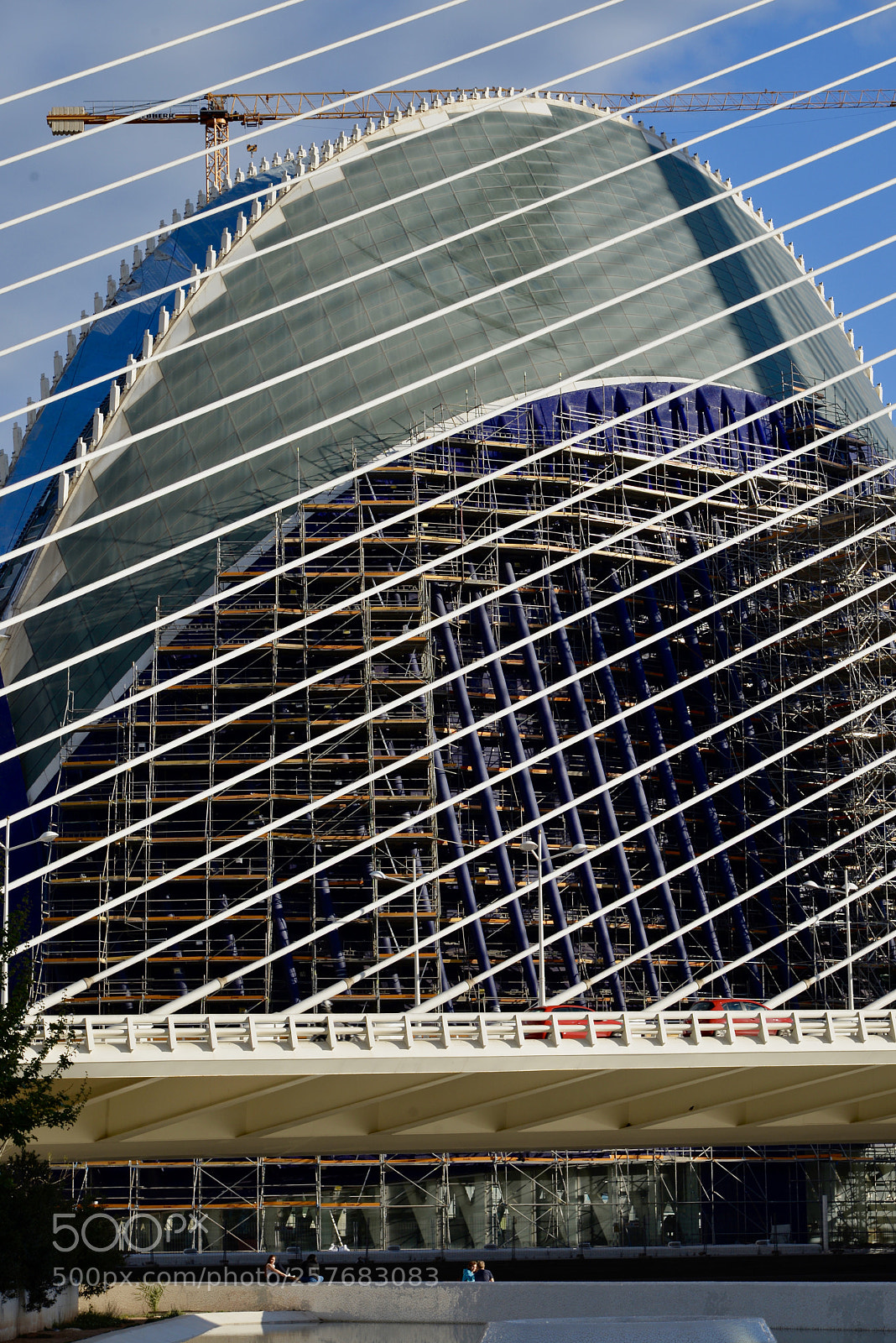 Nikon D610 sample photo. Lines - "spanish trellis" photography