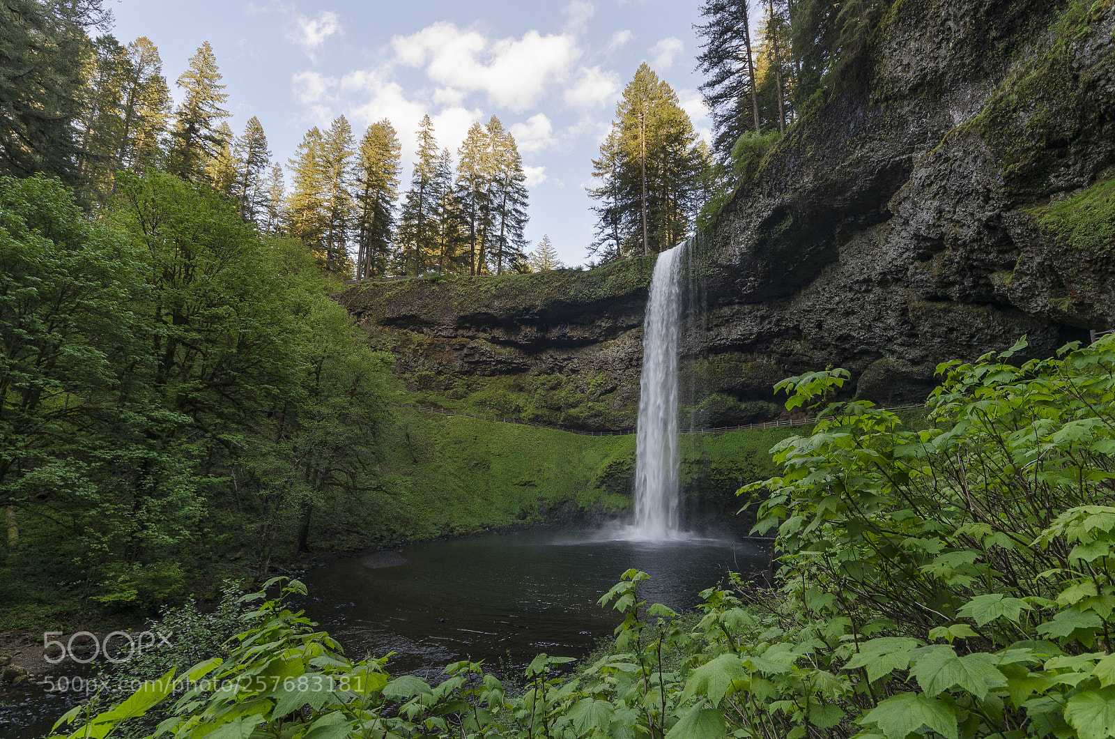 Nikon D5100 sample photo. Silver falls photography
