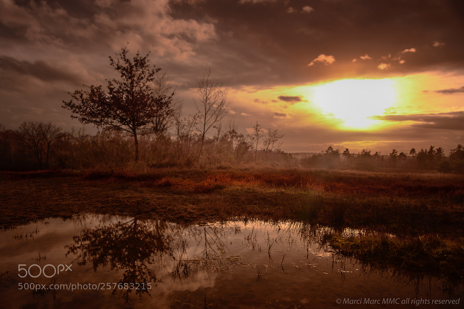 Nikon D800 sample photo. Alte tongrube photography