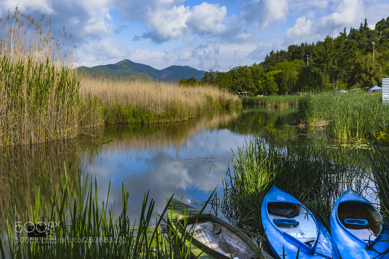 Nikon D7200 sample photo. Boats photography