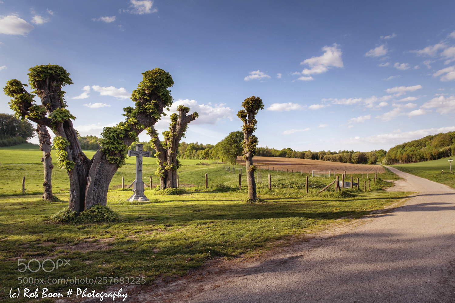 Canon EOS 5DS sample photo. Terborgh @ schinnen 5 photography