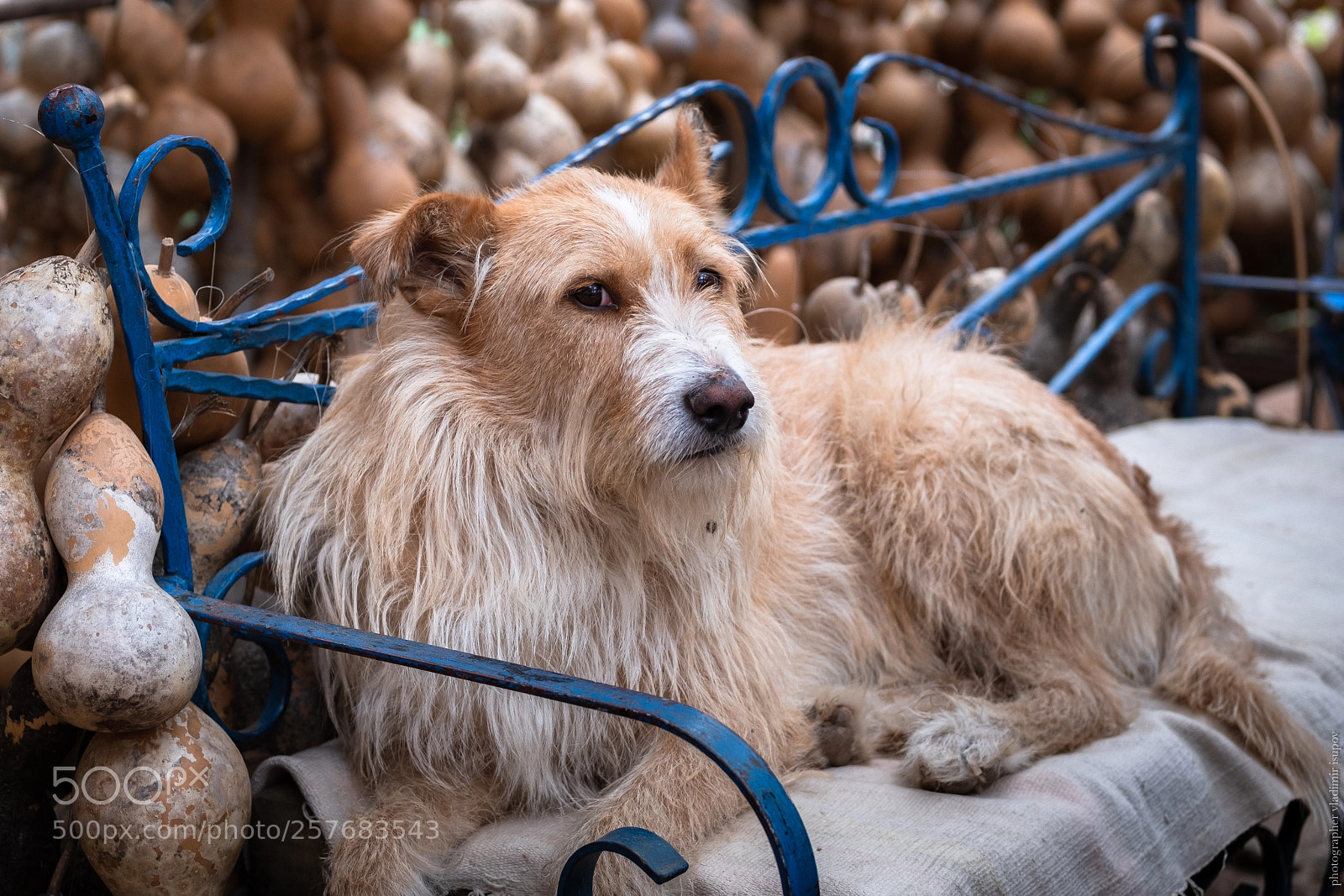 Fujifilm X-T2 sample photo. Алания photography