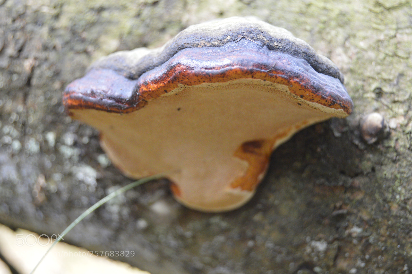 Nikon D3200 sample photo. Skøn natur photography