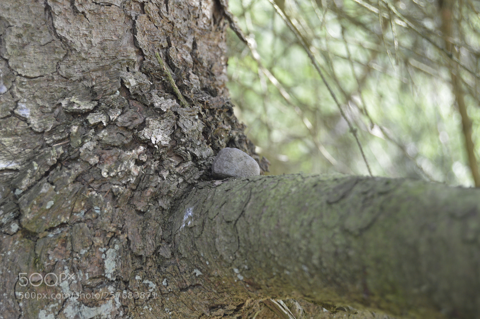 Nikon D3200 sample photo. Skøn natur photography