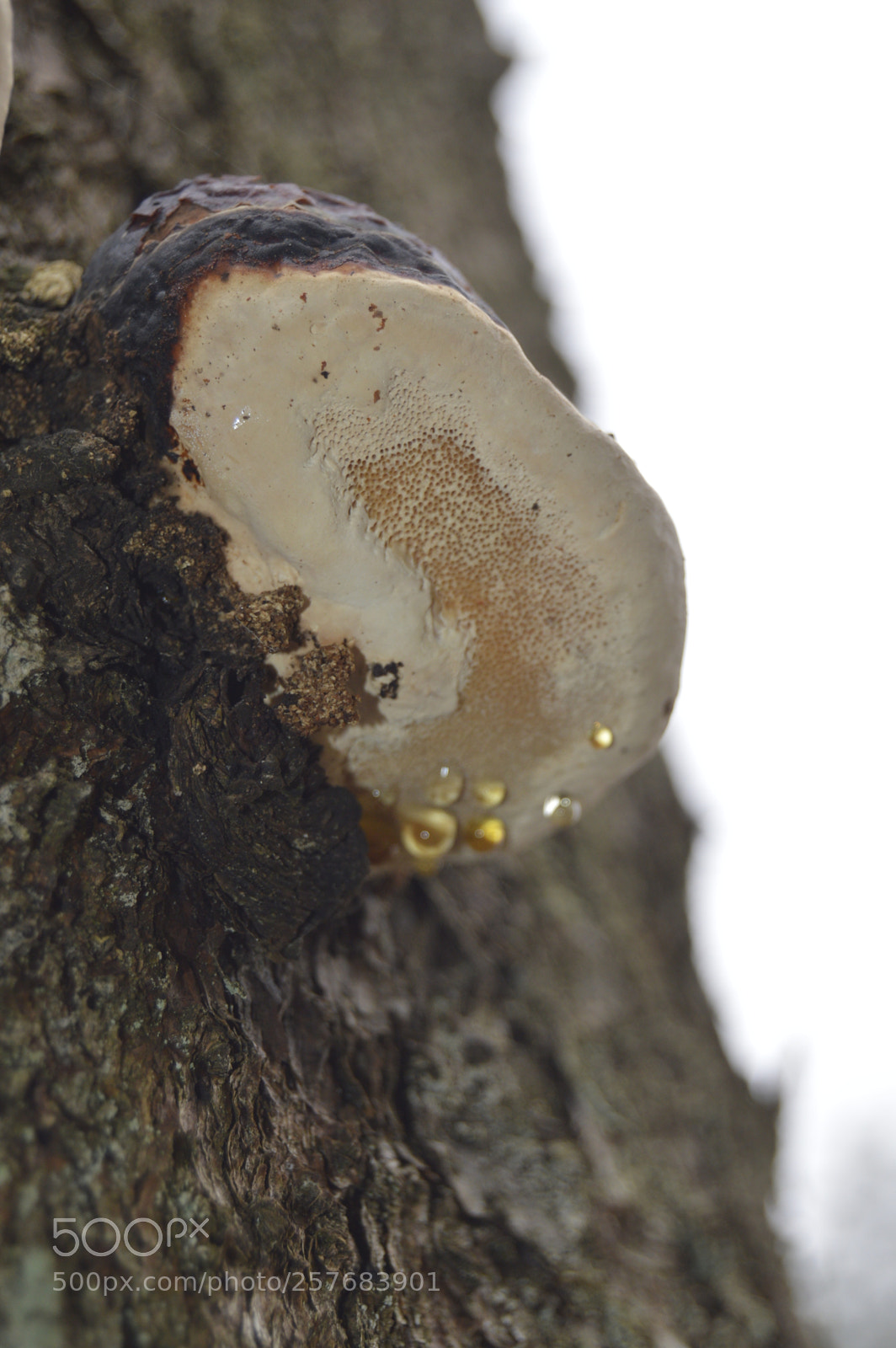 Nikon D3200 sample photo. Skøn natur photography