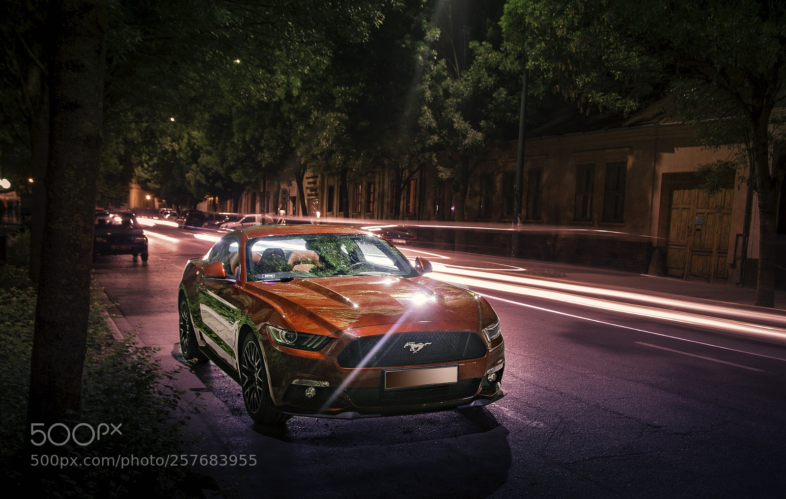 Nikon D3200 sample photo. Mustang photography