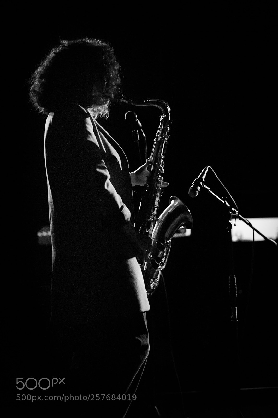 Nikon D700 sample photo. Jazzy lady photography