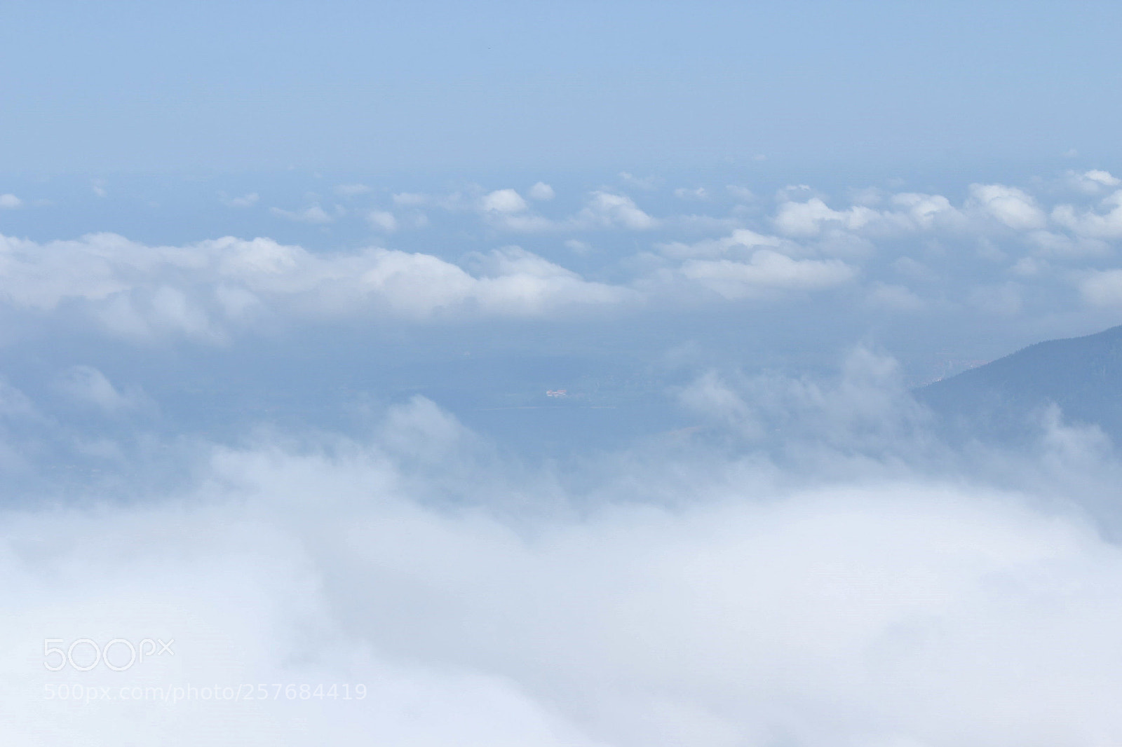 Canon EOS 60D sample photo. Be free .... photography