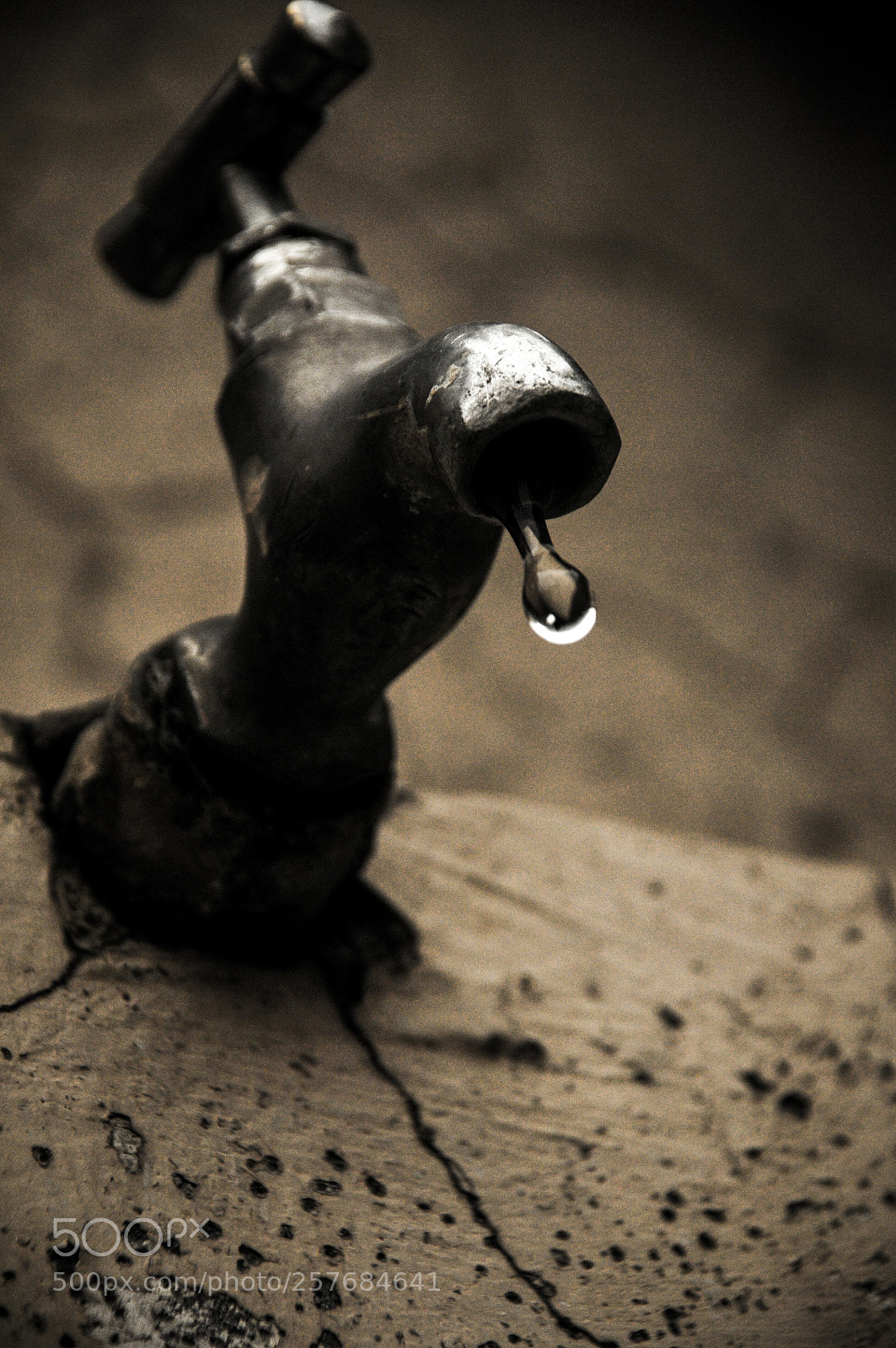 Nikon D300S sample photo. Save water for better photography