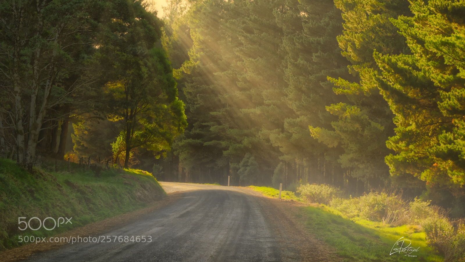 Fujifilm X-T2 sample photo. Blackwarry sunray photography