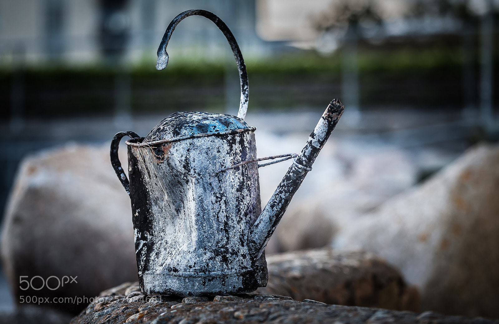 Canon EOS 5D Mark II sample photo. Once was watering can photography