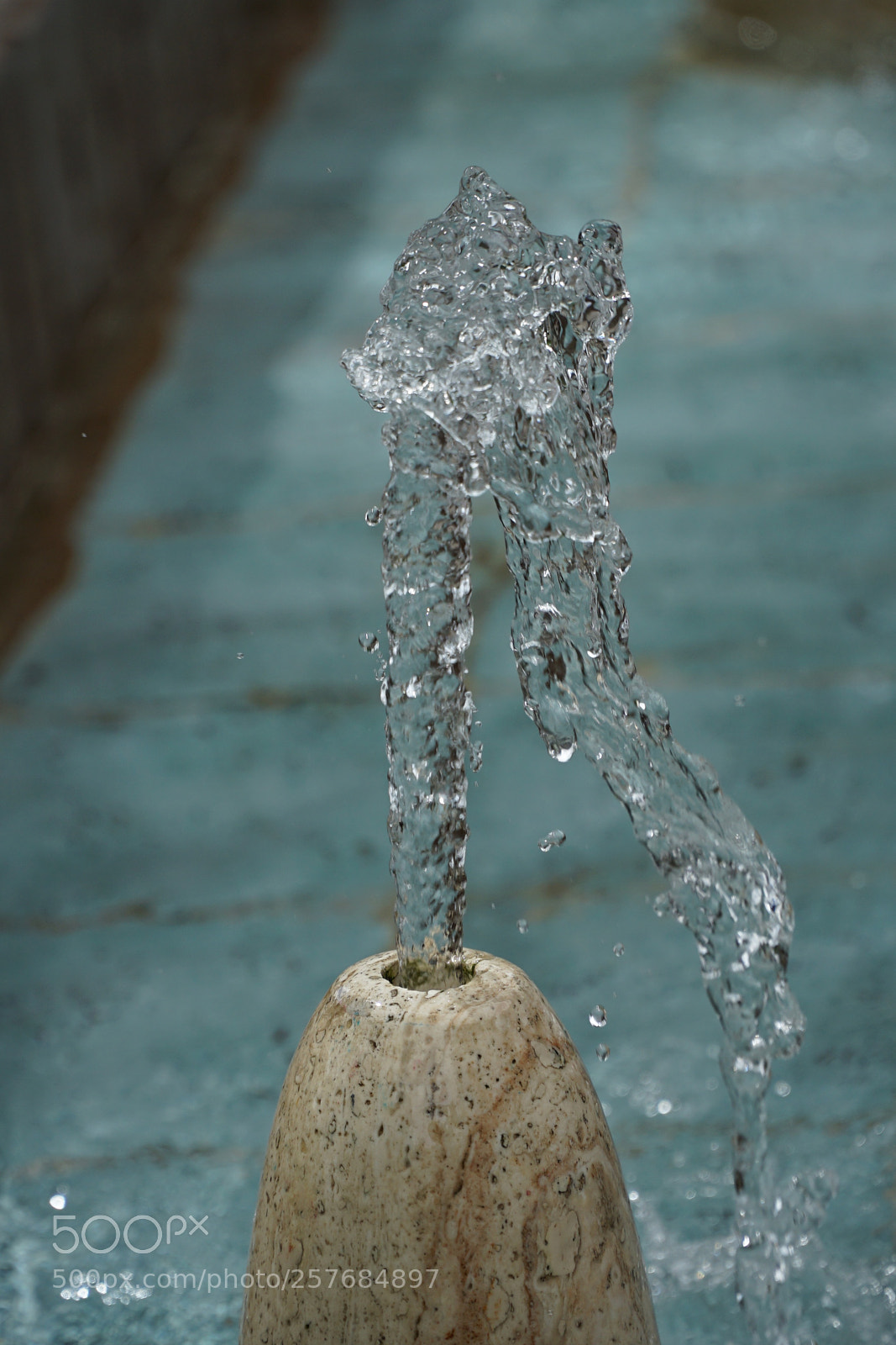 Sony a7 II sample photo. Bagh-e-irani photography