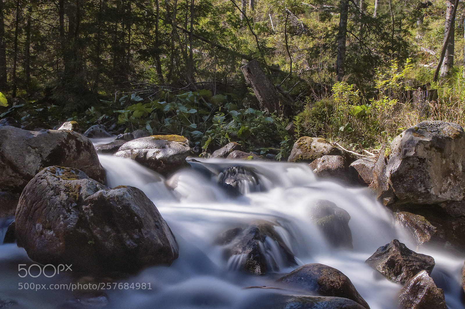 Nikon D5000 sample photo. Tatry bielskie photography
