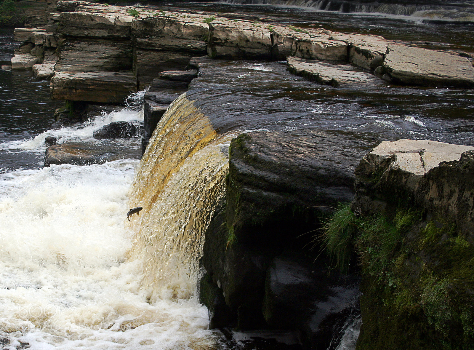 Canon EOS 350D (EOS Digital Rebel XT / EOS Kiss Digital N) sample photo. Fish falls o photography