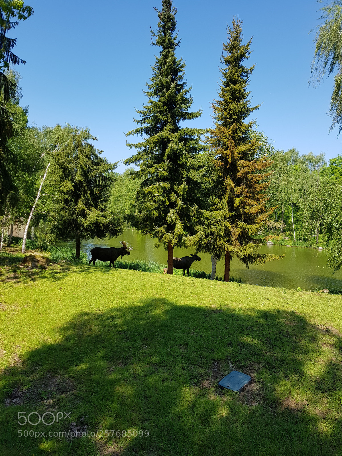Samsung Galaxy S8 sample photo. Untitled photography
