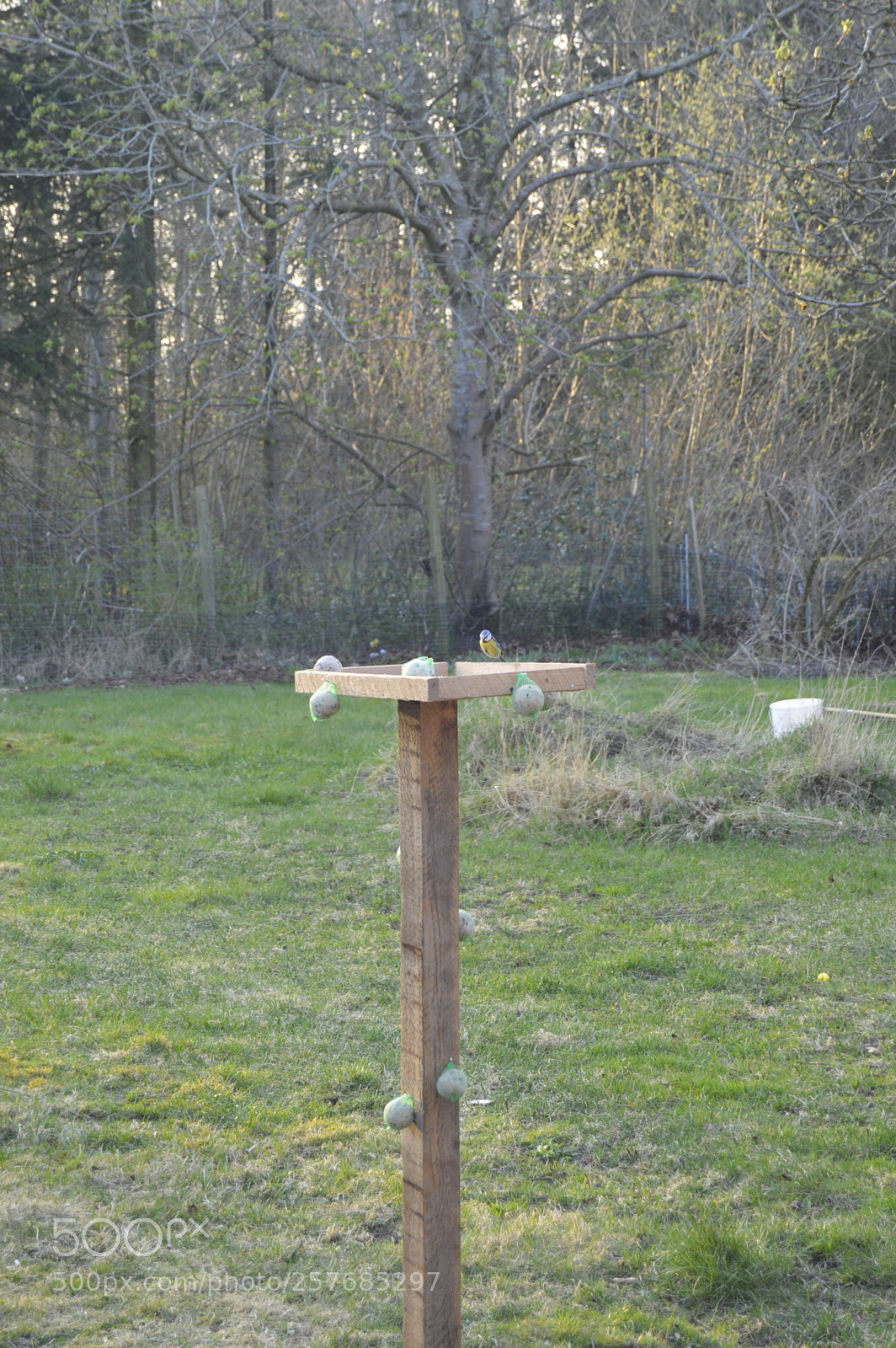 Nikon D3200 sample photo. Skøn natur photography