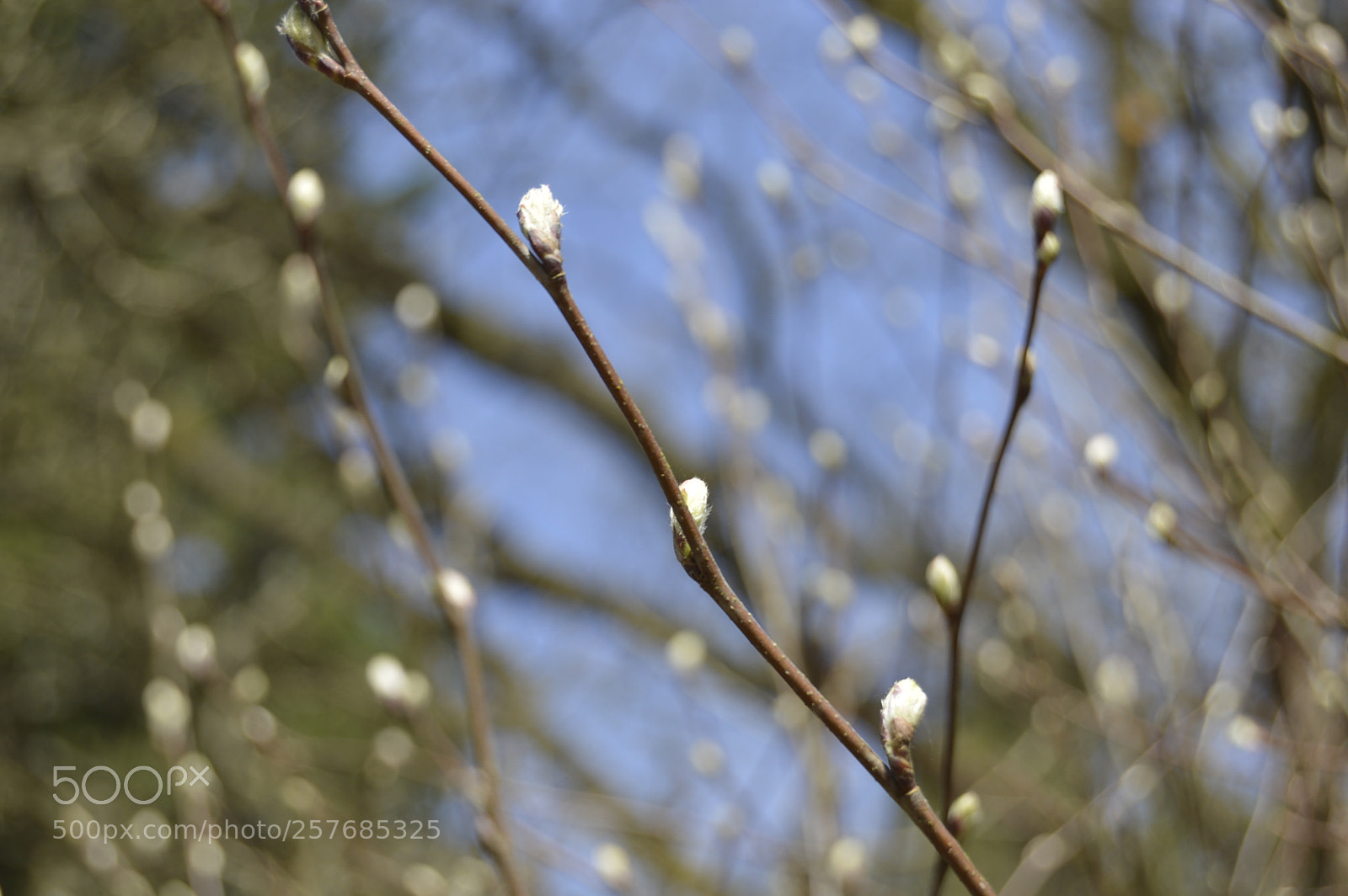 Nikon D3200 sample photo. Skøn natur photography