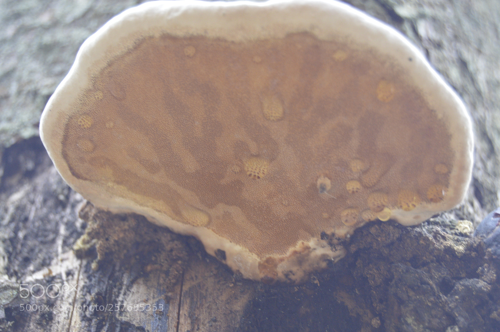 Nikon D3200 sample photo. Skøn natur photography
