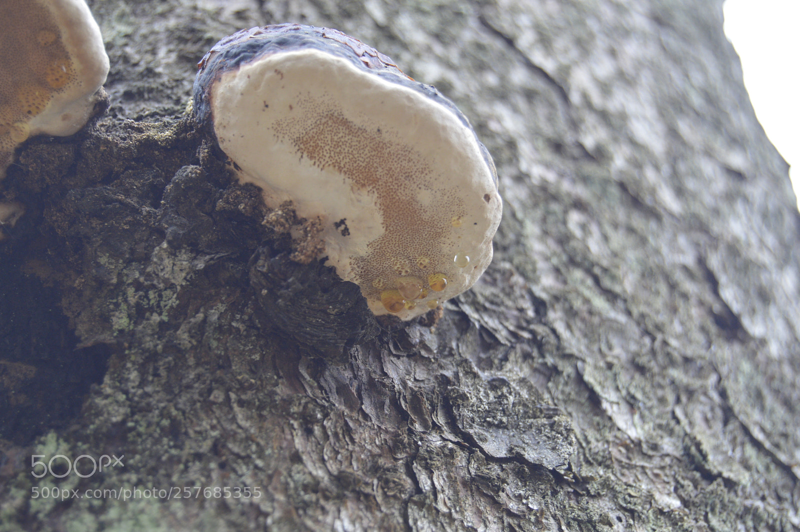 Nikon D3200 sample photo. Skøn natur photography