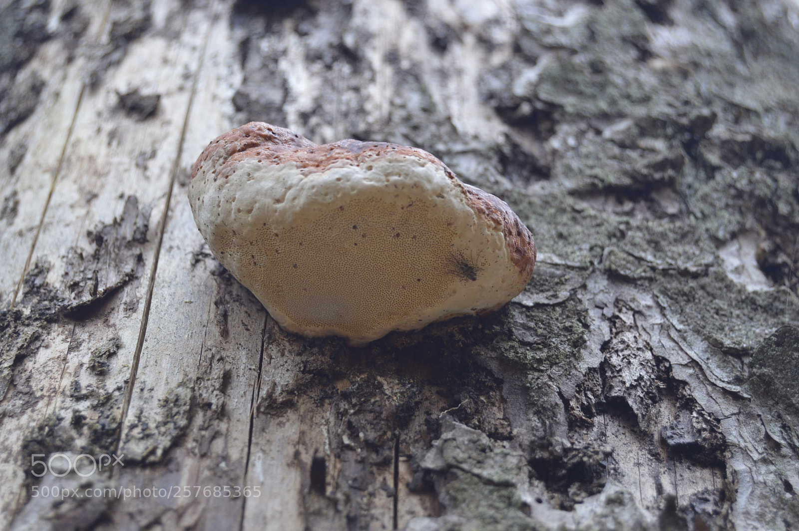 Nikon D3200 sample photo. Skøn natur photography