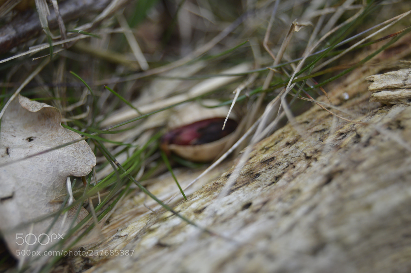 Nikon D3200 sample photo. Skøn natur photography