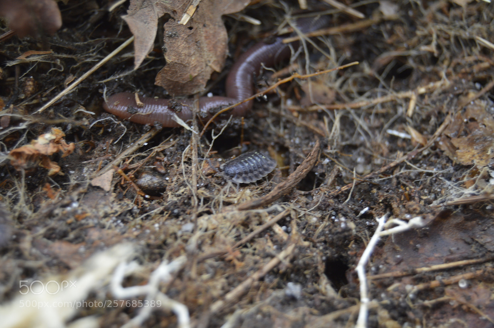 Nikon D3200 sample photo. Skøn natur photography