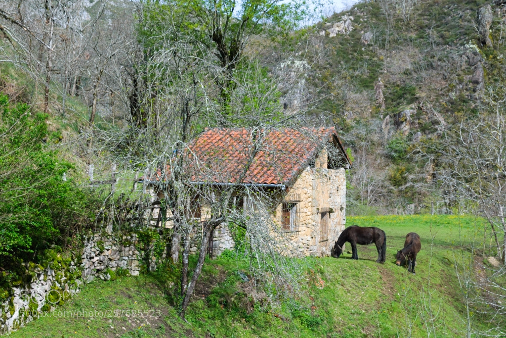 Nikon D3000 sample photo. Cabaña photography