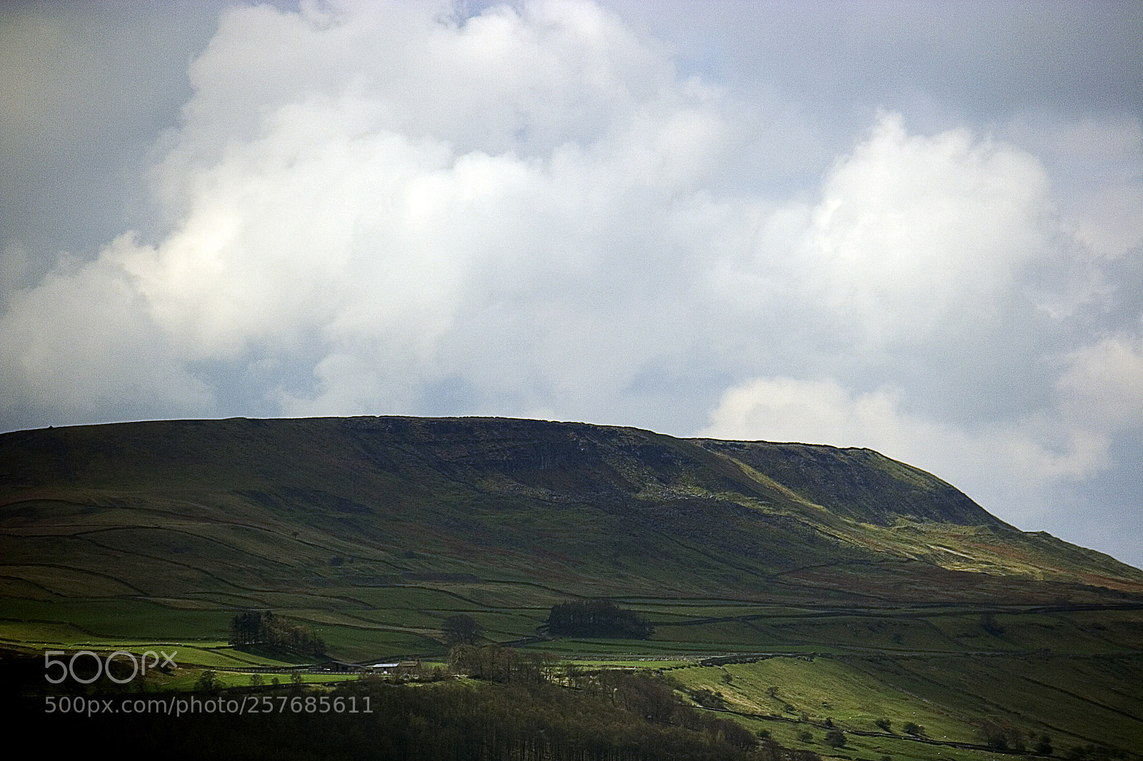 Canon EOS 350D (EOS Digital Rebel XT / EOS Kiss Digital N) sample photo. Penhill from leyburn o photography