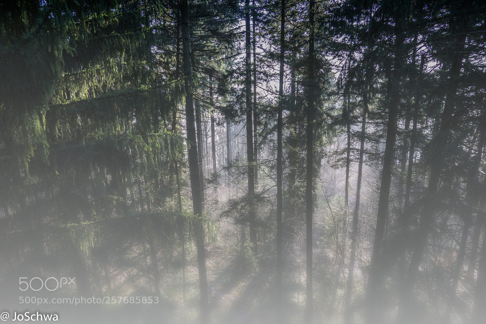 Sony a7R II sample photo. Way out photography