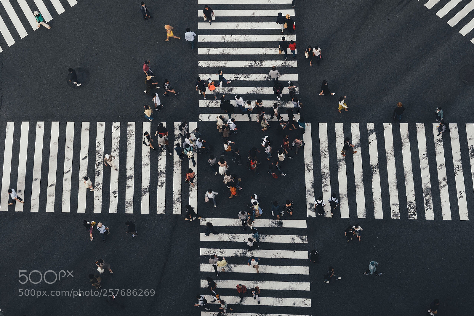 Fujifilm X-T20 sample photo. Crossing photography