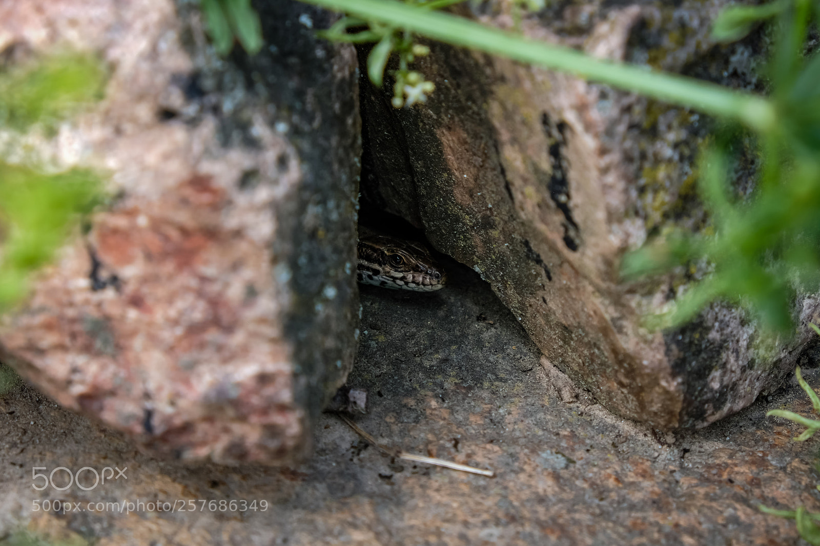 Fujifilm X-T20 sample photo. 'fast & curious' photography