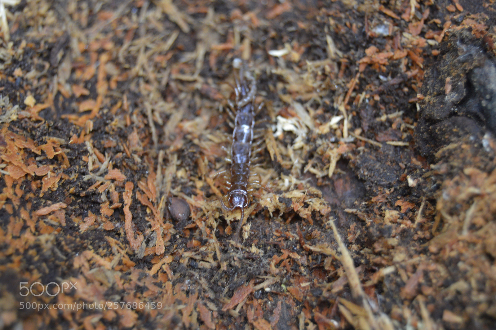 Nikon D3200 sample photo. Skøn natur photography