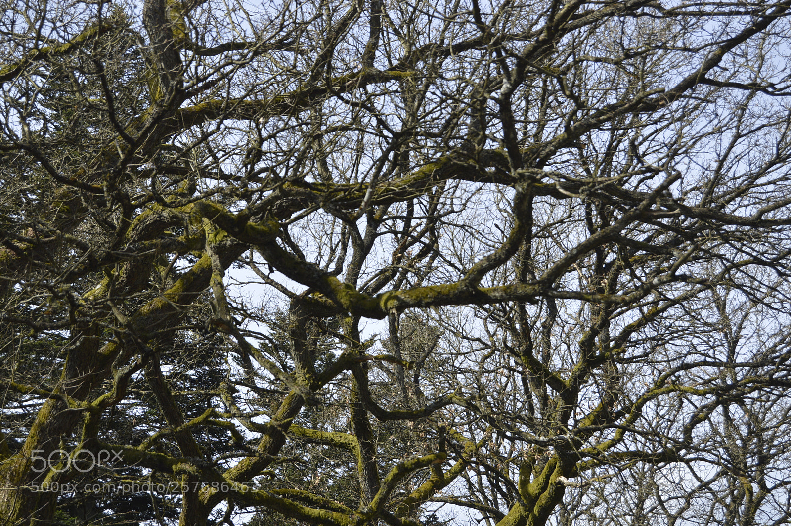 Nikon D3200 sample photo. Skøn natur photography