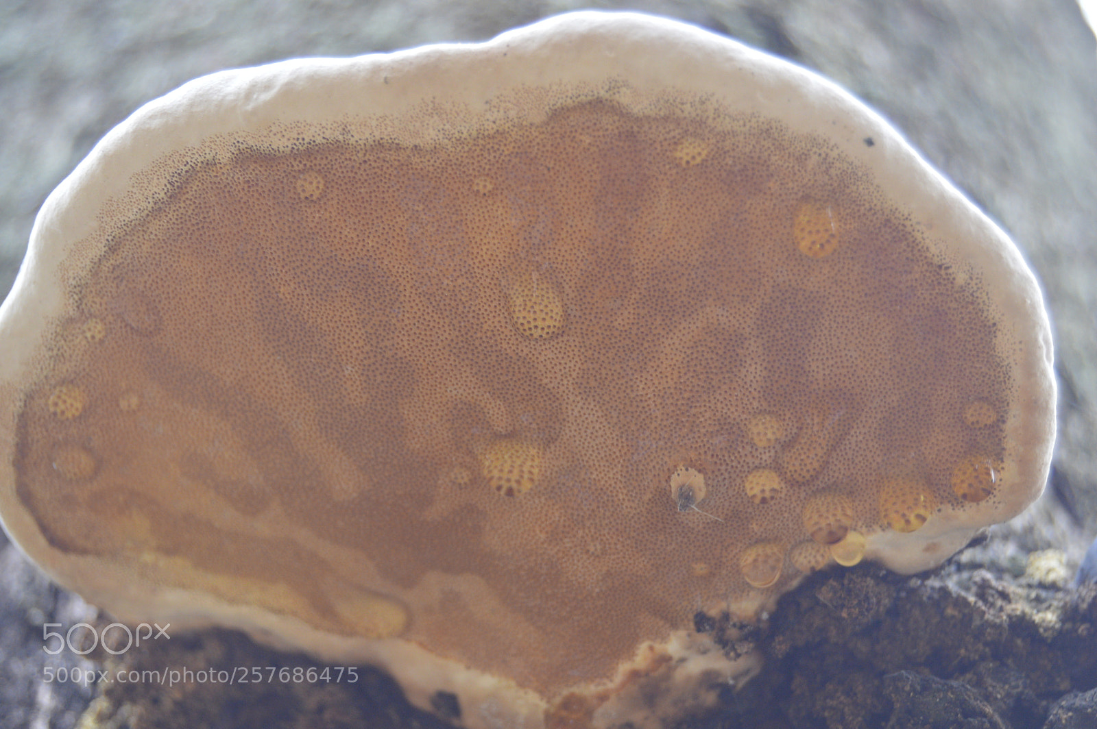 Nikon D3200 sample photo. Skøn natur photography