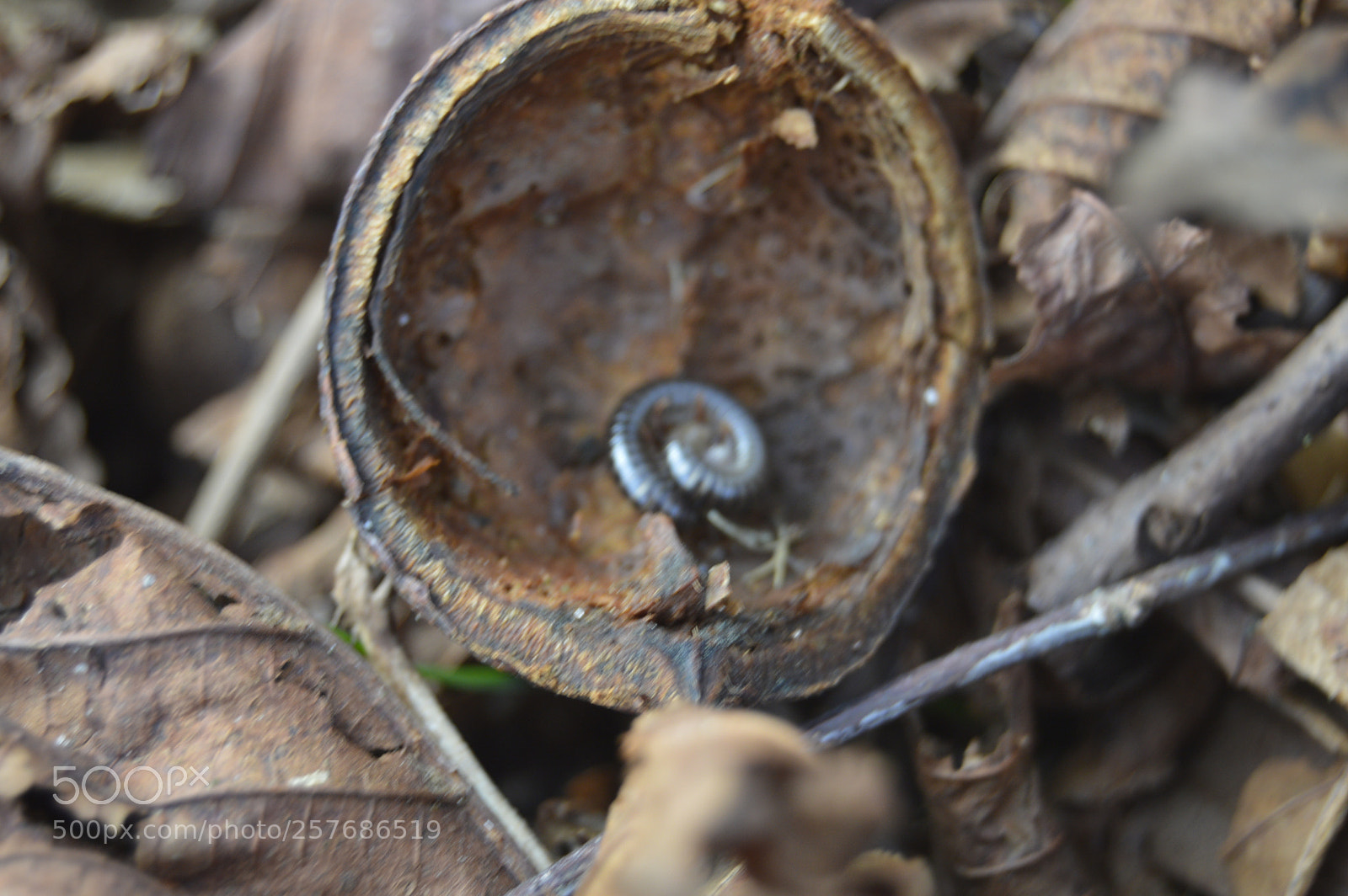 Nikon D3200 sample photo. Skøn natur photography