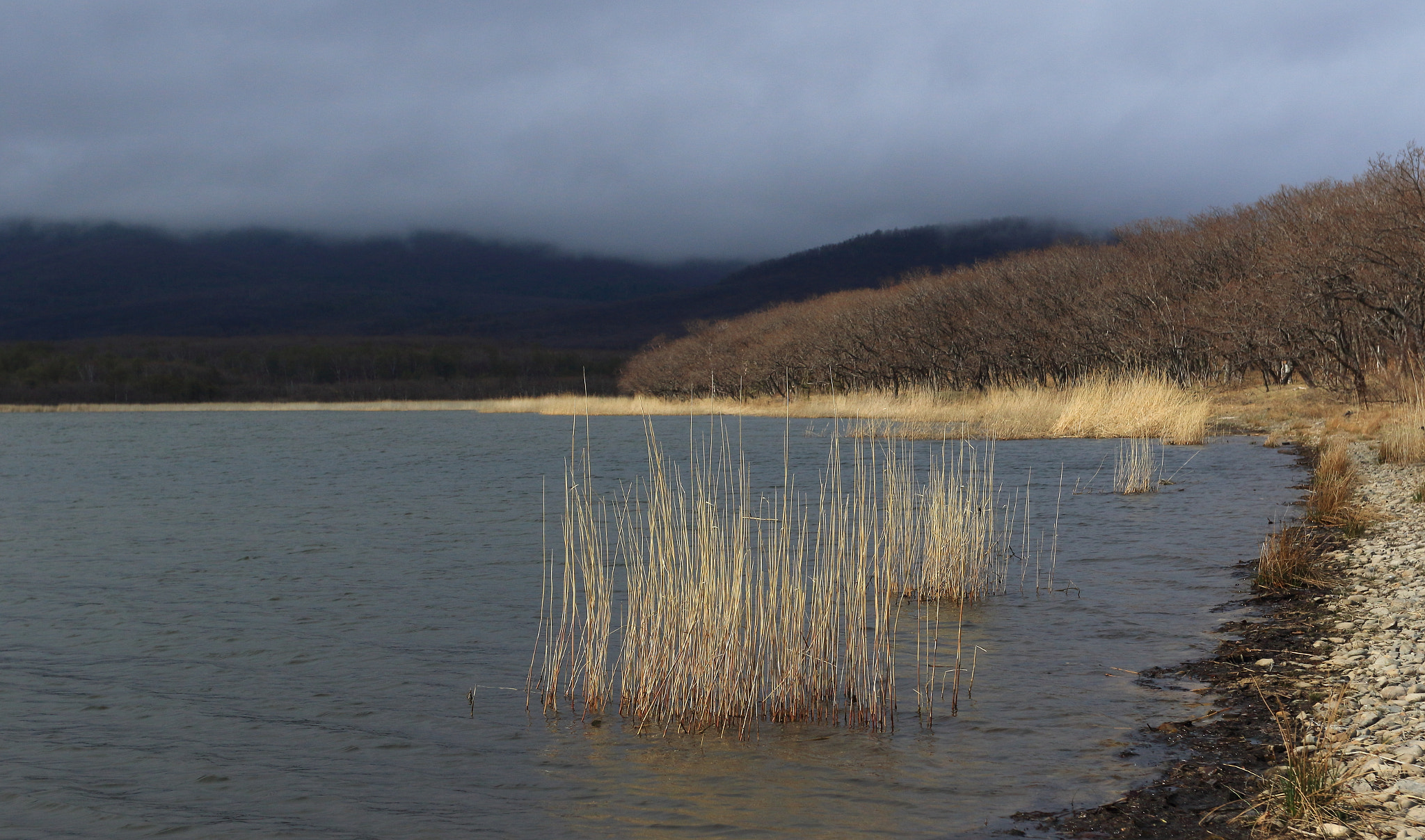 Canon EOS 7D Mark II + Canon EF 17-40mm F4L USM sample photo. Cold day photography