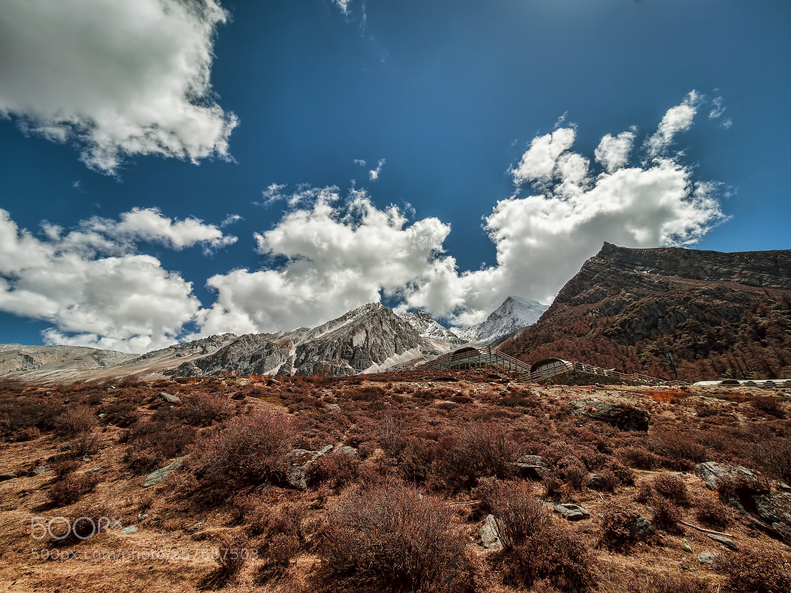 Olympus OM-D E-M1 Mark II sample photo. Yading nature reserve of photography