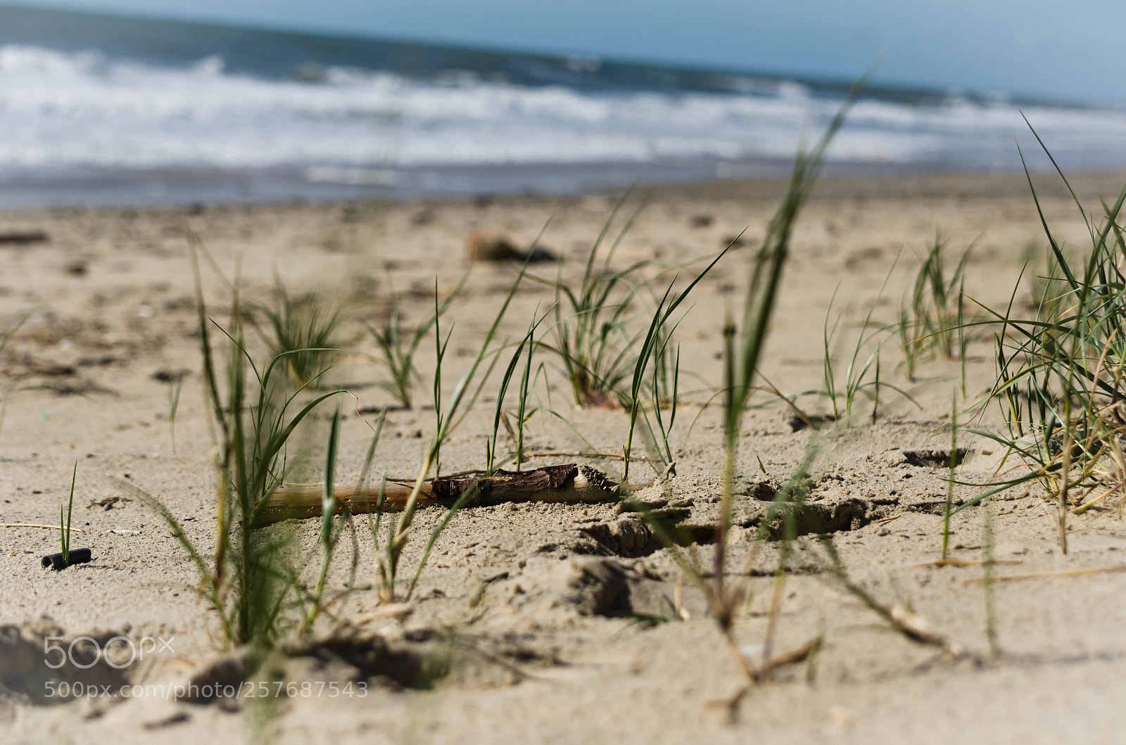 Nikon D7000 sample photo. Beach 3 photography