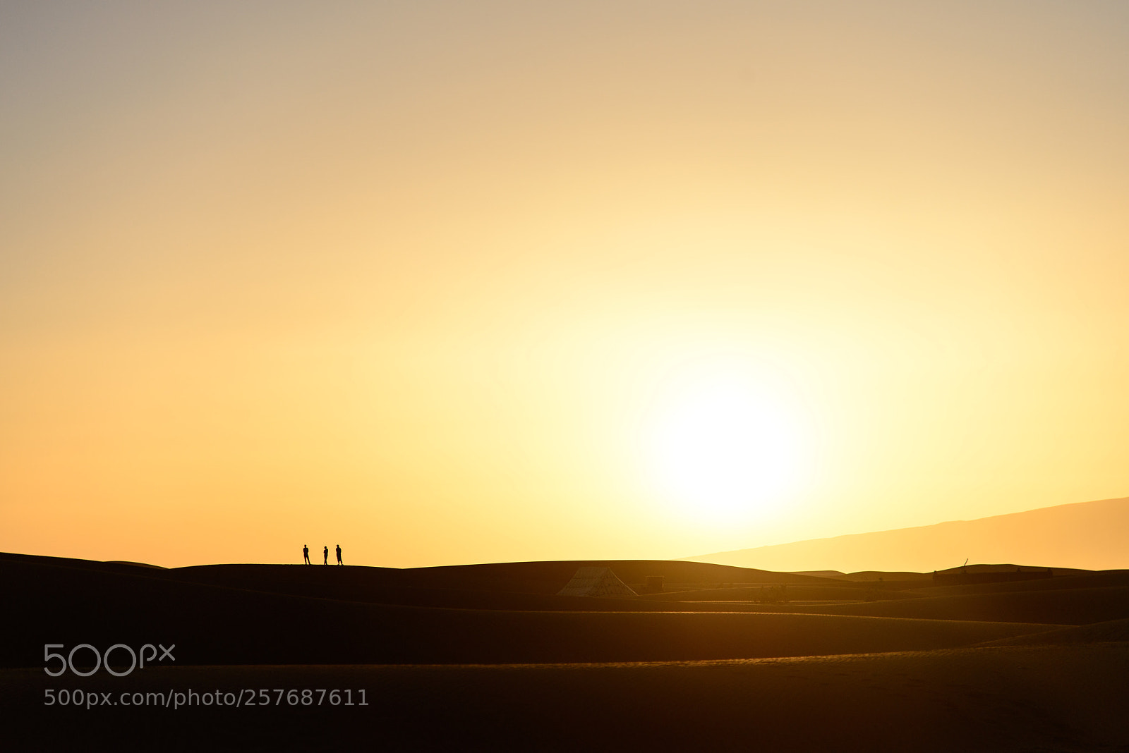 Nikon D800 sample photo. Waiting for the sahara photography