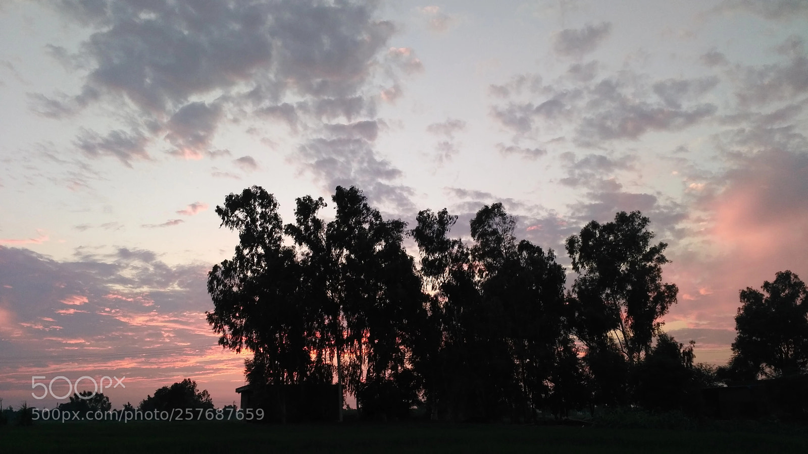 Xiaomi Redmi 3S sample photo. Untitled photography