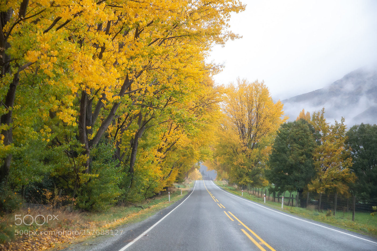 Canon EOS 6D sample photo. Autumn epicness photography